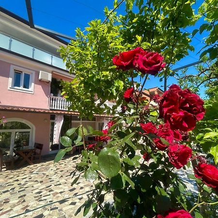 Apartments Tereza Novigrad  Exterior photo
