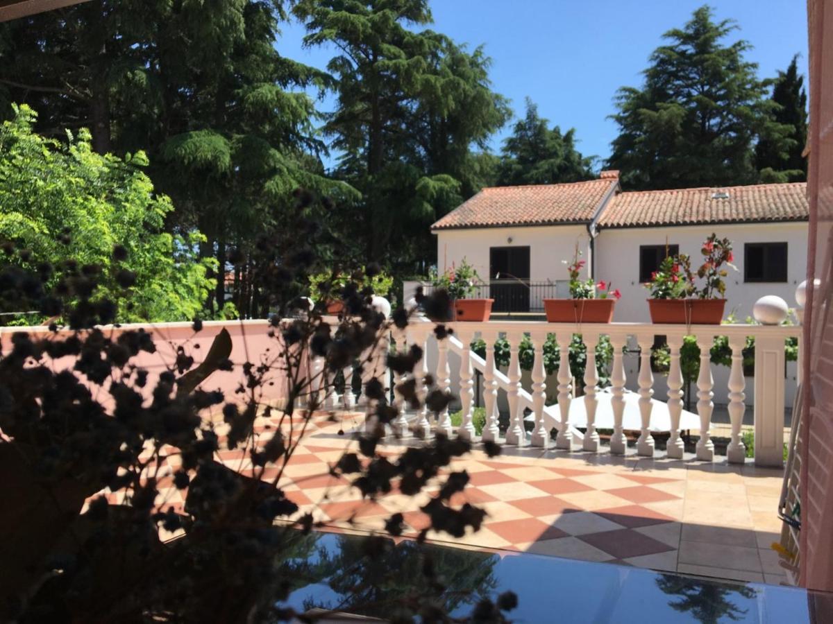 Apartments Tereza Novigrad  Exterior photo