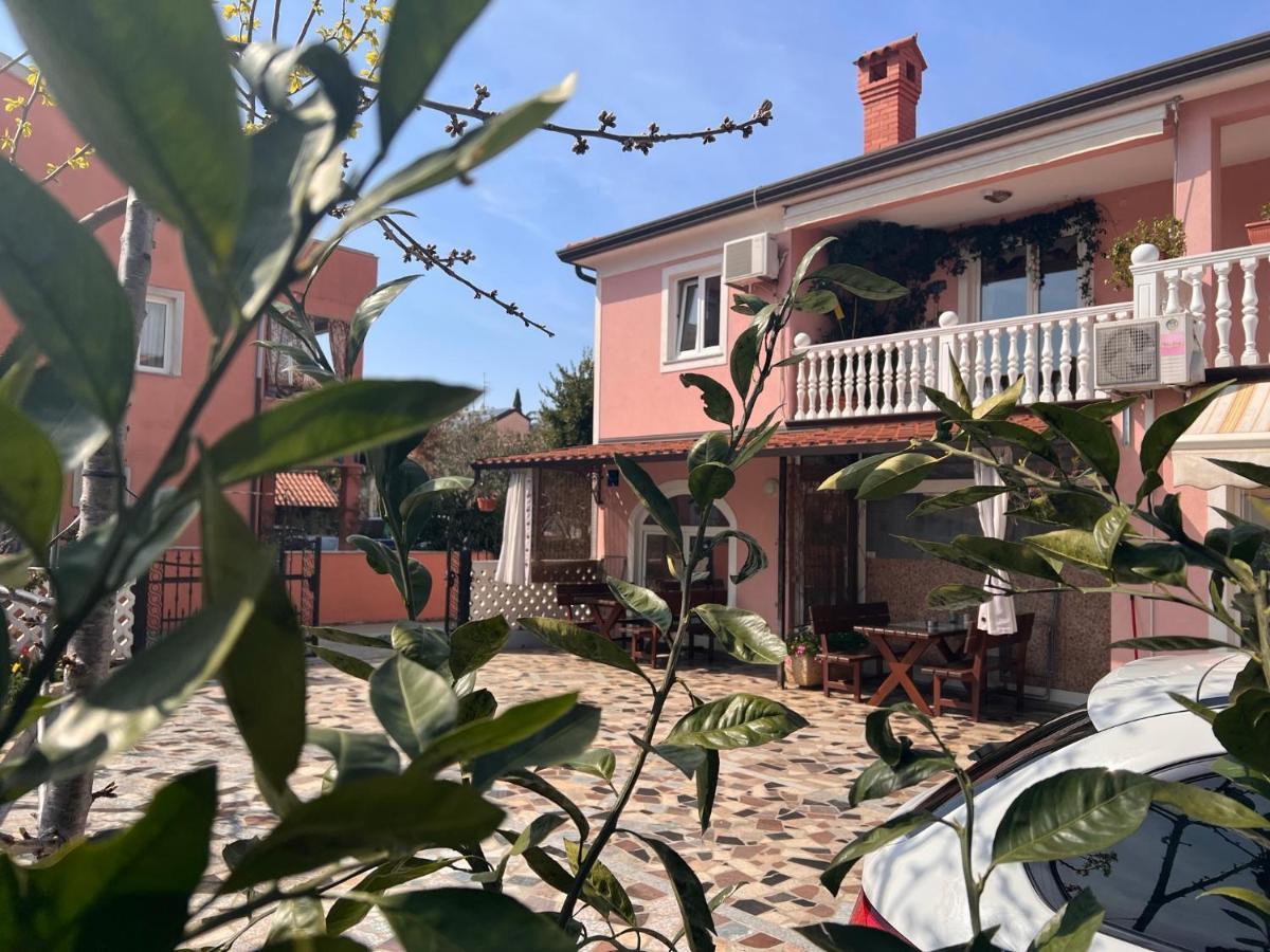 Apartments Tereza Novigrad  Exterior photo