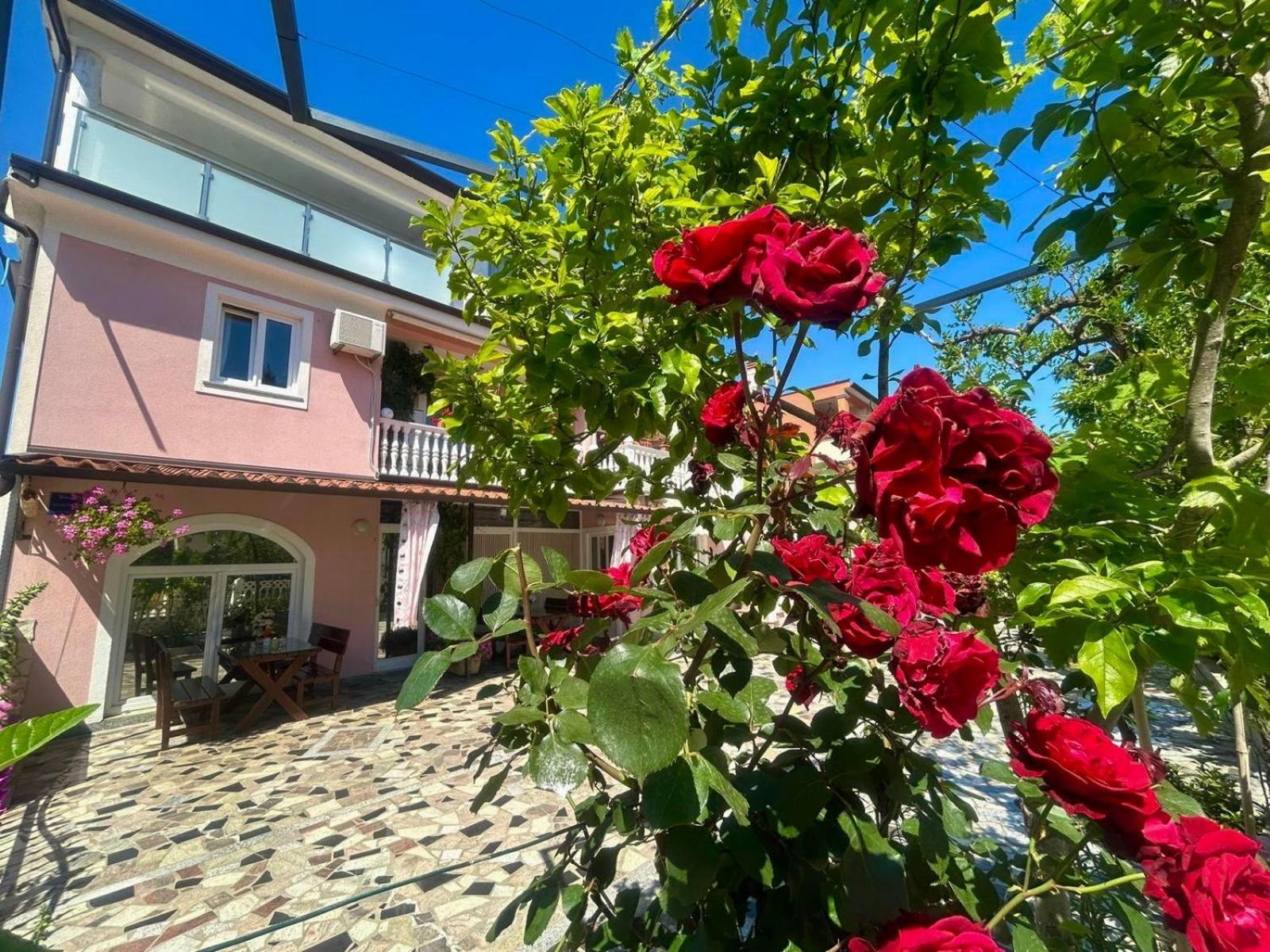 Apartments Tereza Novigrad  Exterior photo